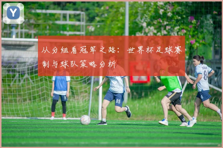 从分组看冠军之路：世界杯足球赛制与球队策略分析